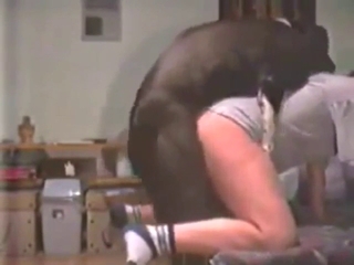 Round ass zoophile in socks rammed by a dog