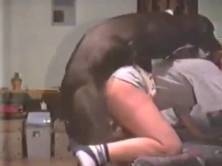 Round ass zoophile in socks rammed by a dog
