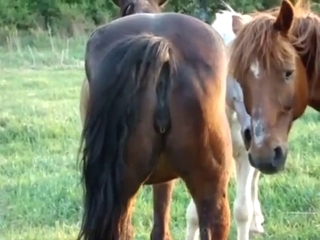 Mare shows off her vag and winks it at the cam