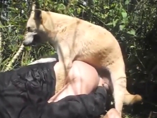 Strong and sexy animal pounding that hole