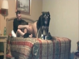 womenhavingsexwithanimals videos