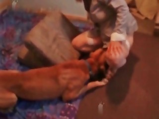 free gay bestiality pics videos