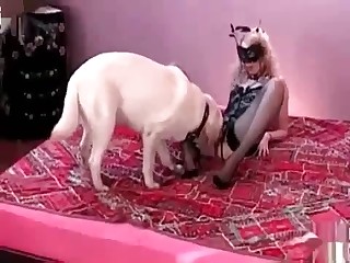 animal farm bestiality movies