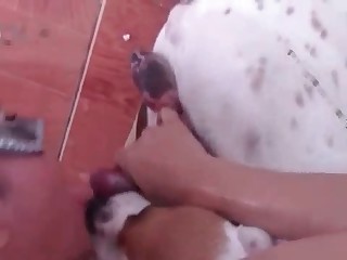 pretty blonde suck horsecock videos