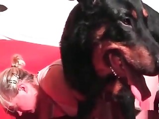 man sex with female animals porn movies
