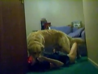 beast free sex trailer porn movies